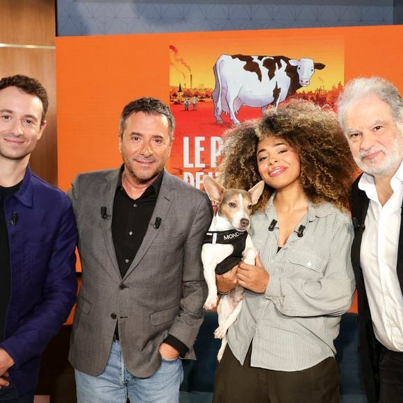 Hugo Clément, Bernard Montiel, Oli et son chien Monda, Maître Olivia Symniacos et Raphaël Mezrahi sur plateau de l'émission "Animalement Vôtre" présentée par B.Montiel et diffusée le 1er février 2026 sur France 3, à Paris, France, le 3 décembre 2025. © Jack Tribeca/Bestimage