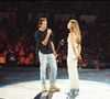 Jean-Jacques Goldman a assisté au concert de Céline Dion, le vendredi 9 octobre 2026, à la Plenitude Arena de Nanterre, comme l’a révélé Le Parisien. 

Céline Dion au Stade de France avec Jean-Jacques Goldman. AGENCE / BESTIMAGE
