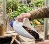 Du jardinage à la buanderie, ces contenants se prêtent à de multiples détournements pratiques.