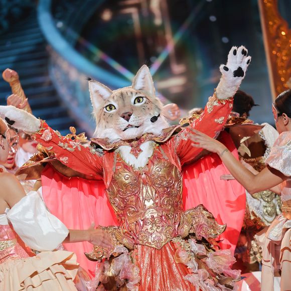 "Il y a eu cette frustration parce que j’avais plein de chansons qui étaient beaucoup plus dans ma tessiture, que j'adorais et que j’avais préparées. J'étais fière du travail que j'avais fourni en un temps record sur ces chansons. Et puis, j'avais aussi également vraiment à cœur de continuer pour les gens qui ont travaillé, notamment sur la robe et la tête du Lynx. "

Premières images de la saison 8 de Mask Singer © LAURENT VU / TF1