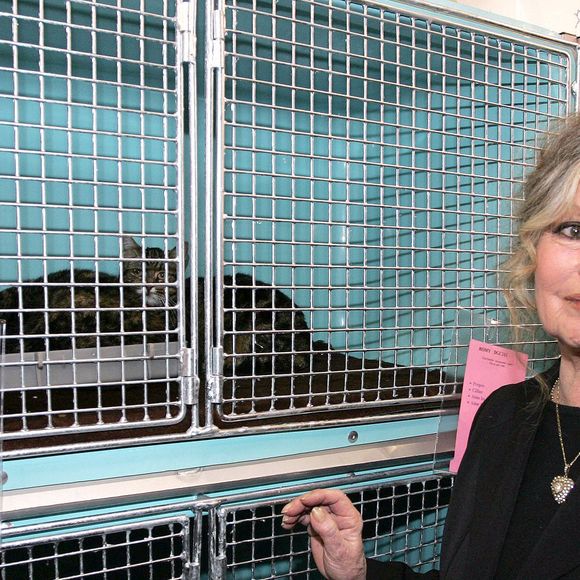 L'actrice française Brigitte Bardot et le chanteur français Johnny Hallyday inaugurent le Noël de la Société Protectrice des Animaux (SPA) près de Paris à Levallois, France, le 18 décembre 2004. Photo par Laurent Zabulon/ABACA.