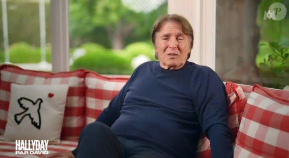 Hallyday par David, documentaire M6 - capture d'écran