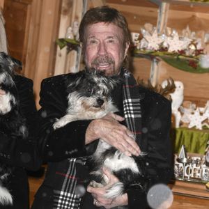 Ses “Chuck Norris Facts” ont renforcé sa popularité sur Internet, faisant de lui une figure quasi légendaire de la pop culture.

Chuck Norris à la soirée VIP Gut Aiderbichl Christmas Market à Henndorf en Autriche, le 12 novembre 2019.

Backgrid USA / Bestimage