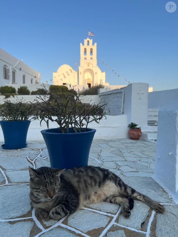 Dans une autre publication, elle s’est amusée à rassembler toutes les photos de chats qu’elle a pu prendre durant ses escapades dans les Cyclades. 

La photo d'Aurélie Casse d'un chat dans les Cyclades le 16 août 2025 © Instagram