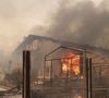"J’étais au téléphone avec eux heure par heure, je n’en ai pas dormi de la nuit.”

Incendies en Gironde / Les premiers maisons touchées par les flammes dans Lège Cap Ferret, derrière la salle des sports, la ville est évacuée. - L’incendie pénètre Lège-Cap-Ferret, les 800 pompiers mobilisés dans le Médoc s’apprêtent à lutter une nuit de plus le 23 juillet 2026.
L’incendie du sud Médoc a profité de conditions météo exécrables pour progresser toujours plus, ce jeudi 23 juillet. Aux alentours de 19 heures, le feu a pénétré les quartiers les plus exposés de Lège-Cap-Ferret, aux portes du bassin d’Arcachon. L'évacuation “immédiate” de plusieurs villages de la presqu’île du Cap-Ferret. © Fabien Cottereau/Bestimage