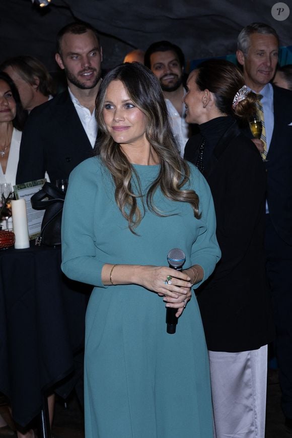 La princesse Sofia (Hellqvist) de Suède - 15ème  anniversaire de "Project Playground" au Musée du Jouet de Stockholm, le 25 septembre 2025. © Action Press / Bestimage