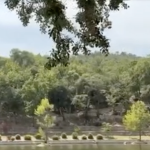 Image du château de Miraval appartenant à Brad Pitt dans le Sud de la France. Image de TF1.