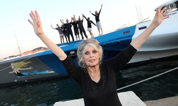 Le récit, porté par la voix de Bardot elle-même, retrace son ascension, ses zones d'ombre, puis son combat pour les animaux.


Exclusif - Brigitte Bardot pose avec l'équipage de Brigitte Bardot Sea Shepherd, le célèbre trimaran d'intervention de l'organisation écologiste, sur le port de Saint-Tropez, le 26 septembre 2014 en escale pour 3 jours à deux jours de ses 80 ans. Cela fait au moins dix ans qu'elle n'est pas apparue en public sur le port tropézien. 
Philippe Arnassan / Nice Matin