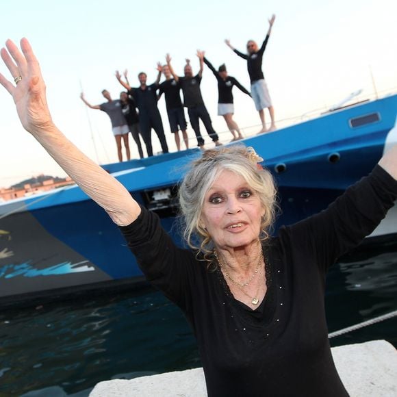 Le récit, porté par la voix de Bardot elle-même, retrace son ascension, ses zones d'ombre, puis son combat pour les animaux.


Exclusif - Brigitte Bardot pose avec l'équipage de Brigitte Bardot Sea Shepherd, le célèbre trimaran d'intervention de l'organisation écologiste, sur le port de Saint-Tropez, le 26 septembre 2014 en escale pour 3 jours à deux jours de ses 80 ans. Cela fait au moins dix ans qu'elle n'est pas apparue en public sur le port tropézien. 
Philippe Arnassan / Nice Matin