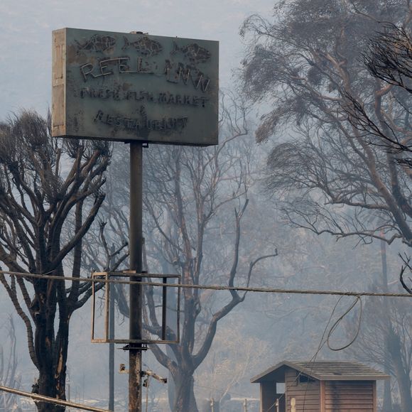 Les incendies qui ont ravagé la région de Los Angeles ont fait beaucoup de dégâts


Pictured: Reel Inn, Rosenthal Wine,