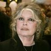 "Nous avons dû nous désister" : La vente de l'appartement parisien de Brigitte Bardot annulée, l'acheteuse, qui n'est pas une inconnue, s'explique