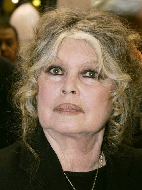 "Nous avons dû nous désister" : La vente de l'appartement parisien de Brigitte Bardot annulée, l'acheteuse, qui n'est pas une inconnue, s'explique