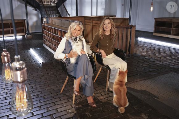 Exclusif - Caroline Margeridon et Laetitia Barlerin, vétérinaire et journaliste - Caroline Margeridon sur le plateau de l'émission "Animaux Stars", présentée par B.Montiel et diffusée le 6 décembre 2025 sur la chaîne Animaux TV, à Paris, France, le 17 septembre 2025. © Jack Tribeca/Bestimage