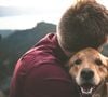 Parler à son animal comme à un humain est une véritable forme de communication.

Photo prise par Eric Ward / Unsplash