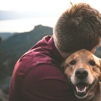 La science affirme que les personnes qui parlent à leurs animaux de compagnie comme à des humains partagent ces 7 atouts psychologiques