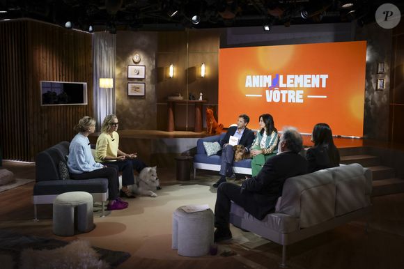 Exclusif - Caroline Roux, sur plateau de la nouvelle émission "Animalement Vôtre" présentée par Bernard Montiel et diffusée le 30 novembre sur France 3, à Paris, France, le 14 octobre 2025. © Jack Tribeca/Bestimage