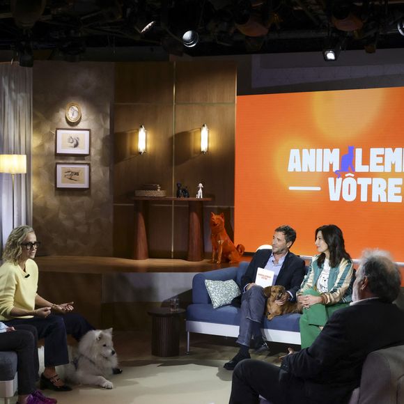 Exclusif - Caroline Roux, sur plateau de la nouvelle émission "Animalement Vôtre" présentée par Bernard Montiel et diffusée le 30 novembre sur France 3, à Paris, France, le 14 octobre 2025. © Jack Tribeca/Bestimage