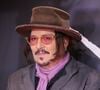 Après leur séparation en 2012, Johnny Depp a tenté à plusieurs reprises de vendre cette propriété, initialement proposée à plusieurs dizaines de millions d’euros.

Johnny Depp assiste à la première de « Modi », le film qu'il a réalisé et dans lequel il joue également, à Buenos Aires, en Argentine, le 11 novembre 2025.
