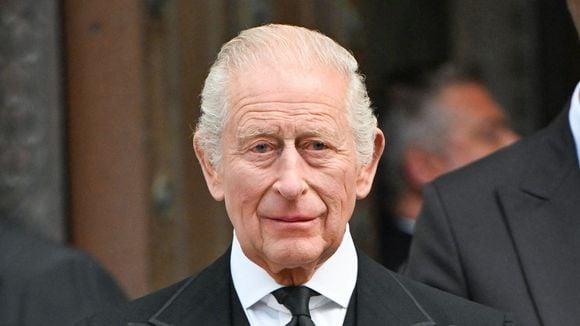Harry favori de Charles III ? "Le roi est actuellement plus irrité par le prince William que son cadet