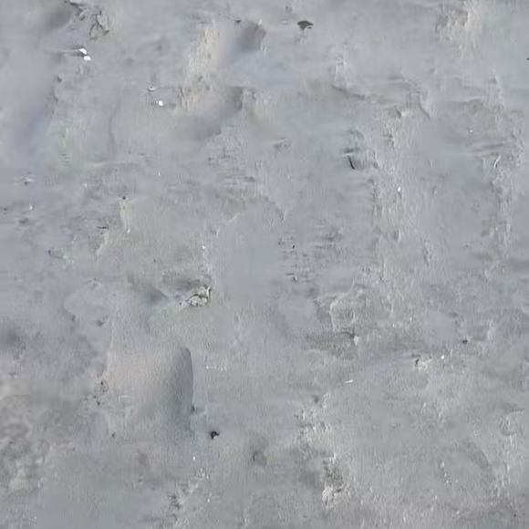 Guillaume Canet se ressource à La Baule