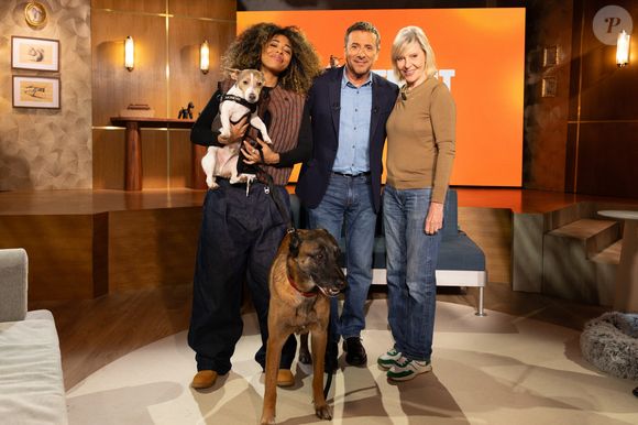 Exclusif - Bernard Montiel, Raphaël Mezrah, Oli. avec Chantal Ladesou et Eric Baratay invités, et Olivia la juriste sur plateau de l'émission "Animalement Vôtre" présentée par Bernard Montiel et diffusée le 8 février 2026 sur France 3, à Paris, France, le 12 janvier 2026. © Julien Sarkissian/Bestimage