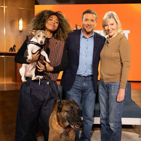 Exclusif - Bernard Montiel, Raphaël Mezrah, Oli. avec Chantal Ladesou et Eric Baratay invités, et Olivia la juriste sur plateau de l'émission "Animalement Vôtre" présentée par Bernard Montiel et diffusée le 8 février 2026 sur France 3, à Paris, France, le 12 janvier 2026. © Julien Sarkissian/Bestimage