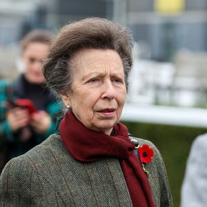 La princesse Anne d'Angleterre assiste à la course de charité au profit de la British Horse Society à l'hippodrome de Newbury le 7 novembre 2024. GOFF INF / BESTIMAGE