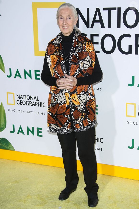 La zoologiste, primatologue, éthologue et anthropologue anglaise Jane Goodall (Dame Jane Morris Goodall DBE, anciennement baronne Jane van Lawick-Goodall) arrive à la première à Los Angeles du documentaire 'Jane' de National Geographic Documentary Films qui s'est tenue au Hollywood Bowl le 9 octobre 2017 à Hollywood, Los Angeles, Californie, États-Unis. Photo par Xavier Collin/Image Press Agency/ABACAPRESS.COM