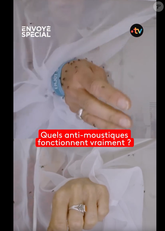 A l'approche de l'été, les moustiques sont de retour 

Reportage sur les anti-moustiques qui va être diffusé dans "Envoyé Spécial" sur France 2.