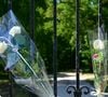 Exclusif - Un an jour pour jour après le décès d'Alain Delon, son fils Anthony (avec Loubo, le berger belge de son père) lui a rendu hommage au domaine familial de Douchy dans le Loiret, France, le 18 août 2025 © Christian Liewig/Bestimage