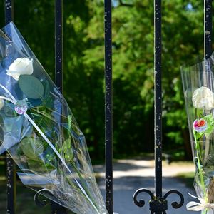 Exclusif - Un an jour pour jour après le décès d'Alain Delon, son fils Anthony (avec Loubo, le berger belge de son père) lui a rendu hommage au domaine familial de Douchy dans le Loiret, France, le 18 août 2025 © Christian Liewig/Bestimage