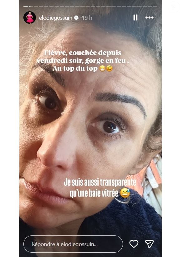 Elodie Gossuin, sur une photo publiée dans la story de son compte Instagram, ce dimanche 14 décembre 2025. Capture d'écran Compte Instagram Elodie Gossuin