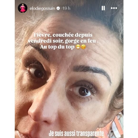 Elodie Gossuin, sur une photo publiée dans la story de son compte Instagram, ce dimanche 14 décembre 2025. Capture d'écran Compte Instagram Elodie Gossuin