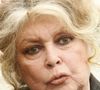Elle pense alors "aux petits oiseaux qui meurent de soif et à tous ceux qui souffrent de cette canicule effrayante et mortelle" et espère que son appel sera entendu.
Brigitte Bardot, légende du cinéma devenue militante pour la cause animale, quitte l'Élysée à Paris, le 27 septembre 2006, après une réunion sur les questions environnementales avec le président Nicolas Sarkozy. Photo : Thierry Orban/ABACAPRESS.COM