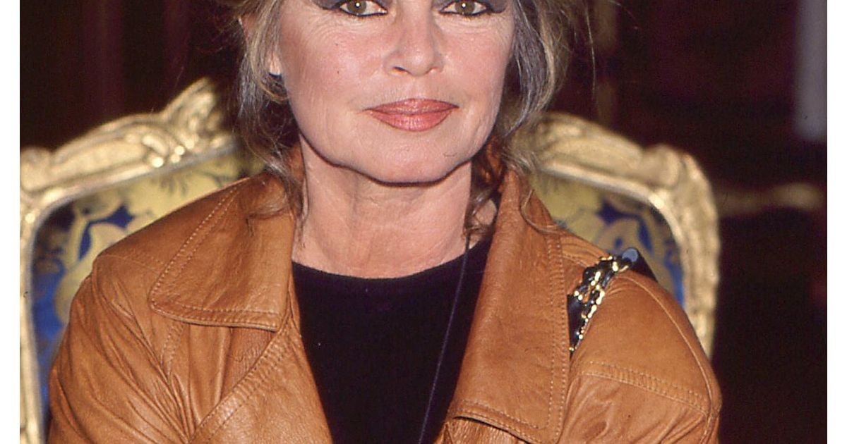 Brigitte Bardot : Plus de 280 objets ayant appartenu à l’actrice, dont un à la valeur très symbolique, mis aux enchères