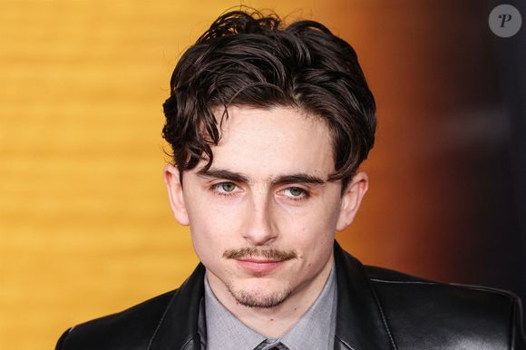Le 10 décembre 2024, Timothée Chalamet à la première du film "Un parfait inconnu" au Dolby Theatre Hollywood. Backgrid USA / Bestimage