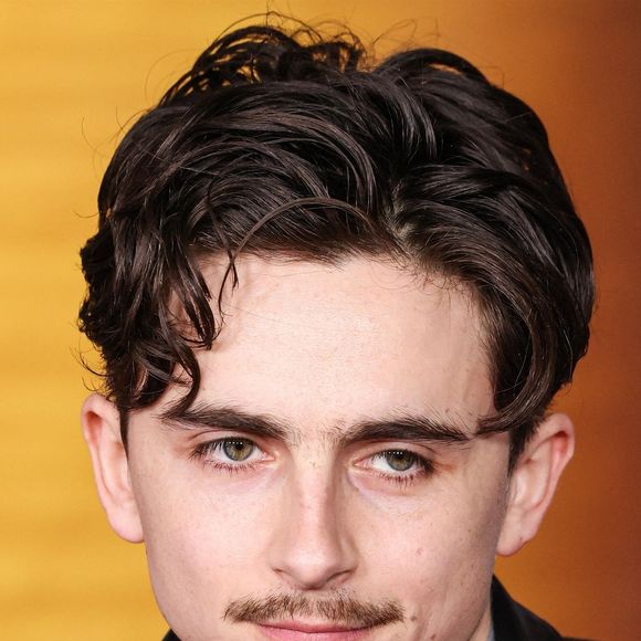 Le 10 décembre 2024, Timothée Chalamet à la première du film "Un parfait inconnu" au Dolby Theatre Hollywood. Backgrid USA / Bestimage