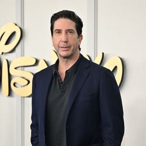 David Schwimmer at the 2024 Disney Upfront on May 14, 2024 in New York City. Photo : STARMAX / BESTIMAGE