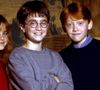 Il ne s'agit pas d'une image d'un futur film mais de la série que MAX, la plateforme de HBO, prépare

Images de l'émission spéciale "Harry Potter 20th Anniversary", diffusée le soir du nouvel an.
©JLPPA / Bestimage