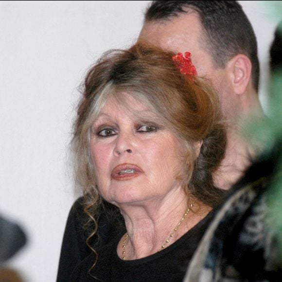 "La Madrague, c’est le reflet de moi quand je faisais des folies" a-t-elle expliqué lors de son entretien du 12 mai dernier.

L'ancienne actrice Brigitte Bardot fête le Noël de la Société Protectrice des Animaux dans son refuge d'Auteuil © Giancarlo Gorassini/ABACA. 40736-7. Paris-France, 14/12/2002.