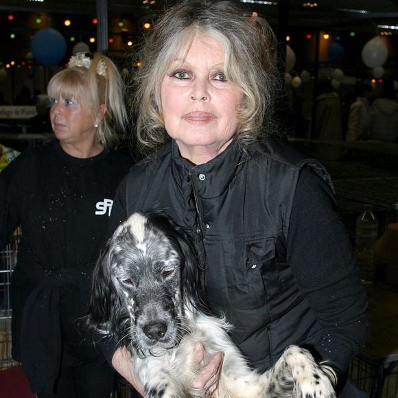 Archives - Brigitte Bardot.

© Backgrid UK/ Bestimage