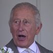 Charles III lance à son tour son propre documentaire Netflix… l'heure de la riposte face à Meghan et Harry ?