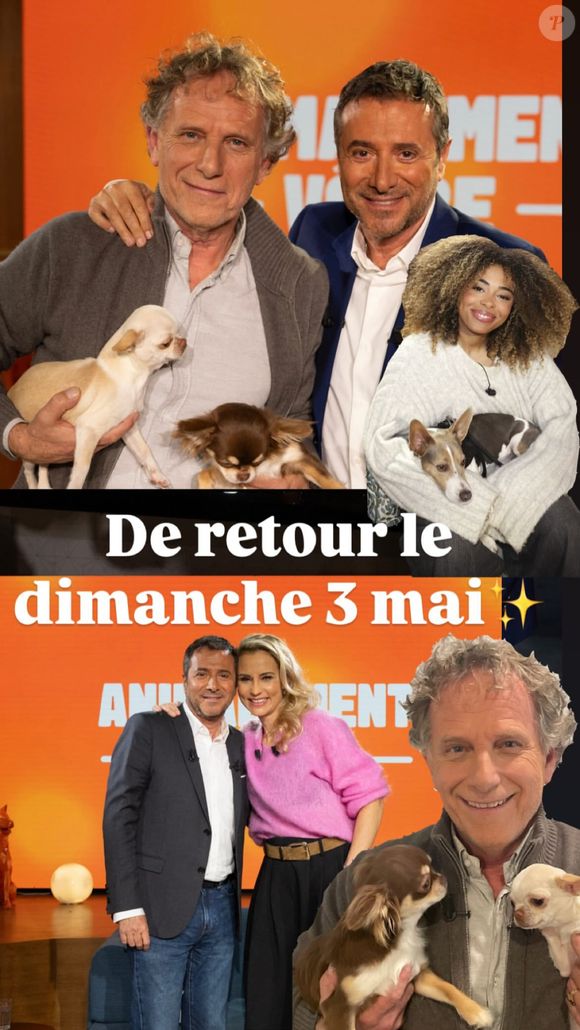 Elodie Gossuin, Instagram
