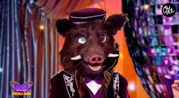 Fin de l'aventure du Sanglier 

Le Sanglier dans Mask Singer - capture d'écran TF1