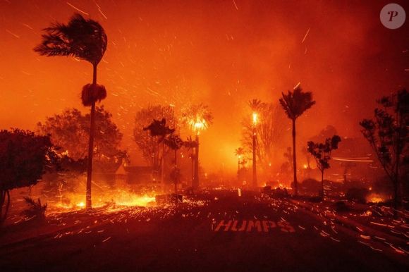 Les incendies de janvier 2025 ont entraîné la mort de 12 personnes et plus de 4 000 hectares ont été ravagés par les flammes avant qu’elles ne soient enfin maîtrisées, après une semaine de lutte intense.

Des flammes et des braises s'échappent d'une maison en feu à Pacific Palisades, Los Angeles, Californie. 7 janvier 2025, Los Angeles, Californie, États-Unis. Photo via Los Angeles County Fire Department/UPI/ABACAPRESS.COM