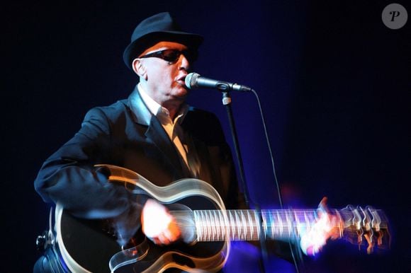 Le chanteur français Alain Bashung en concert au Palais des Spectacles de Saint Etienne, France, le 31 janvier 2009. Photo par Charly Jurine/ABACAPRESS.COM