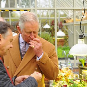 Le prince Charles d'Angleterre et Raymond Blanc font une visite du jardin The National Heritage à Belmond Le Manoir le 21 novembre 2014. (AGENCE / BESTIMAGE).