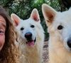 Le chien se révèle aussi être un excellent partenaire éducatif pour faciliter l'apprentissage de la lecture sans jugement.

Julien Doré prend la pose avec ses chiens.