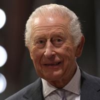 Charles III retire encore deux distinctions importantes à Andrew, l'ancien prince déchu de ses titres royaux