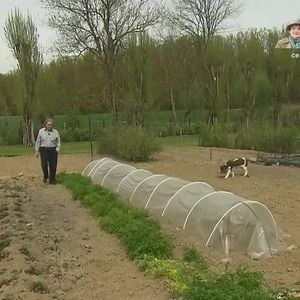Pierre Perret dans sa maison de Nangis, en Seine-et-Marne, son havre de paix avec piscine. Les images ont été diffusés dans "Vivement dimanche" sur France 3 le 16 novembre 2025.